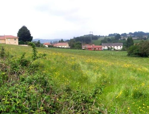 Terrain Saint Jean de Bournay à vendre – Le Hameau de la Tuilerie