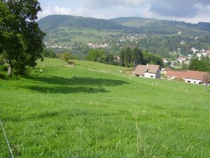 saint geoire en valdaine terrain a batir isere 38 viviant terrains