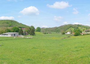 Terrain Isère 38 - Saint jean de bournay les jardins de la tuilerie paysage 2