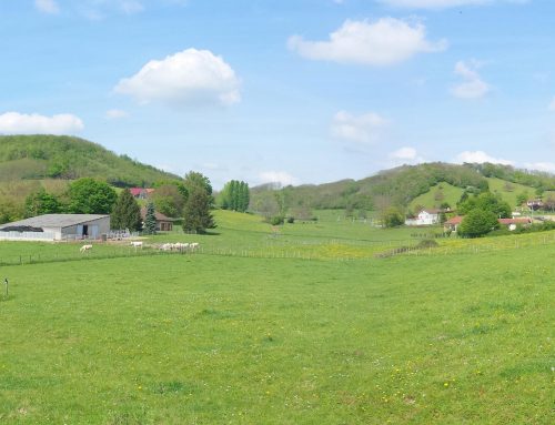 Terrain près de la Côte-Saint-André à vendre à Saint Jean de Bournay – Les Jardins de la Tuilerie