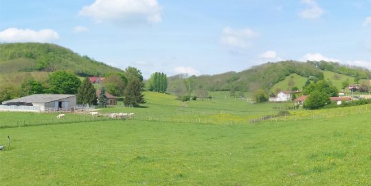 Terrain Isère 38 - Saint jean de bournay les jardins de la tuilerie paysage 2