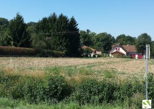 Terrain Isère 38 - sérézin de la tour les jardins de la rivetière paysage 1