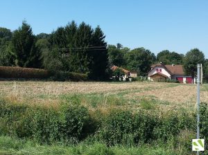 Terrain Isère 38 - sérézin de la tour les jardins de la rivetière paysage 1