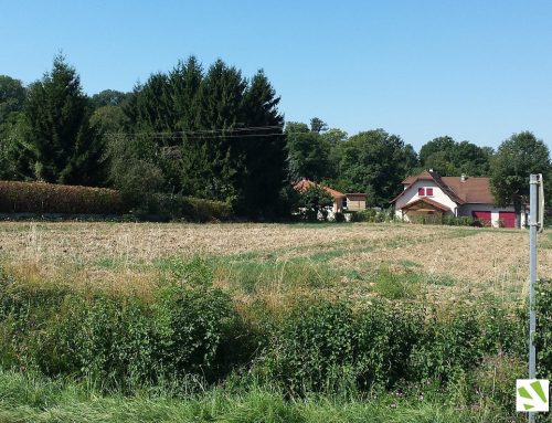 Sérézin de la Tour – Les Jardins de la Rivetière