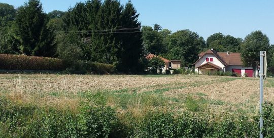 Terrain Isère 38 - sérézin de la tour les jardins de la rivetière paysage 1