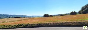 Terrain 38 ou terrain Isere avec Viviant Terrains _ viviant terrains.html