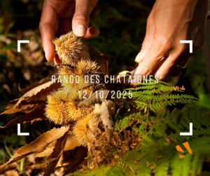 rando des chataignes - anim montbernier - viviant terrains - 12 10 2025