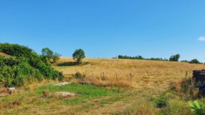 terrain Four - terrain a batir - isere 38 - viviant terrains - 16_9 - 2