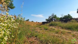 terrain Four - terrain a batir - isere 38 - viviant terrains - 16_9 - 8