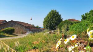 terrain Four - terrain a batir - isere 38 - viviant terrains - 16_9 - 9