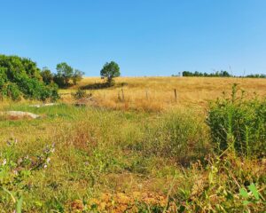 terrain Four - terrain a batir - isere 38 - viviant terrains - 4_5 - 1 b