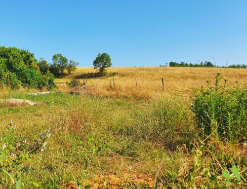 Four – Les Jardins de Four – proche de Bourgoin
