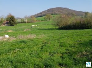 terrain Saint Jean de Bournay-isere-38-viviant terrains - lots 6 7 - paysage 3