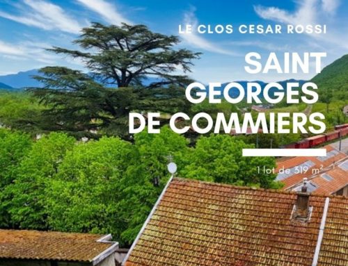 St Georges de Commiers à 20 min de Grenoble