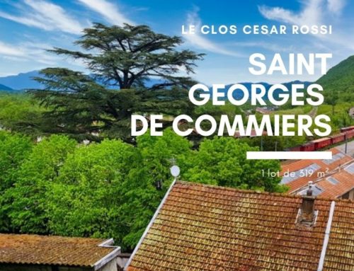 St Georges de Commiers à 20 min de Grenoble