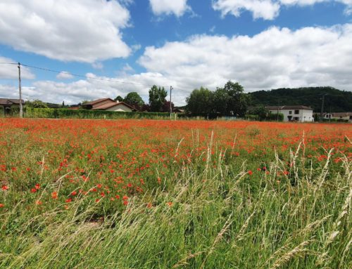 Terrain proche Bourgoin Jallieu à Nivolas Vermelle – Les Logis de Boussieu