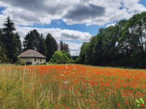 terrain a batir_nivolas_bourgoin jallieu_isere_38_viviant terrains 2