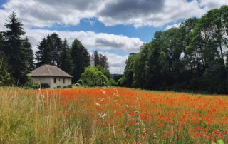 terrain a batir_nivolas_bourgoin jallieu_isere_38_viviant terrains 2