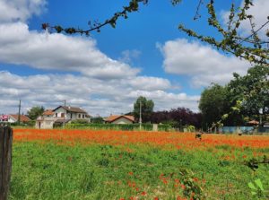 terrain a batir_nivolas_bourgoin jallieu_isere_38_viviant terrains 1