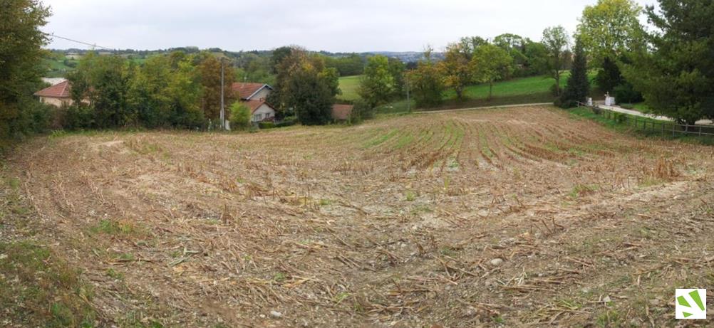 terrain-a-vendre-isere_vente-terrain-isere_terrain-a-vendre-en-isere_nivolas-vermelle Vignes vue pano 3