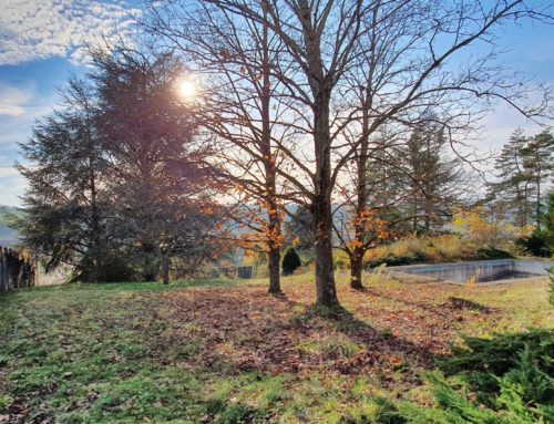 Terrains à vendre Bourgoin Jallieu à Ruy-Montceau – Le Clos de Lavitel