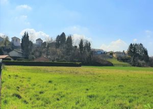 terrain diemoz - terrain a batir - isere 38 - viviant terrains -4-3 -8