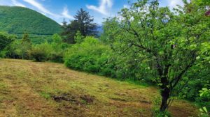 terrain grenoble - st georges de commier - Clos Rossi - terrain a batir - isere - 38 - viviant terrains - pano 5