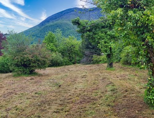 Terrain proche de GRENOBLE à SAINT GEORGES DE COMMIERS – Le Clos César ROSSI