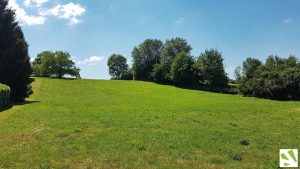 terrain serezin de la tour_terrain a batir_bourgoin jallieu-hauts de serezin-viviant terrains_4