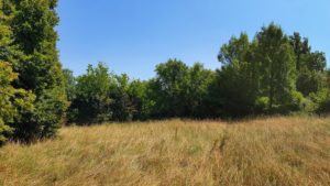 Terrain La Tour du Pin à serezin de la tour_terrain a batir_bourgoin jallieu_clos David_viviant terrains_16-9_3