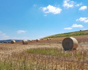 viviant terrains terrain a batir bourgoin isere 38 1