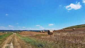 viviant terrains terrain a batir bourgoin isere 38 2