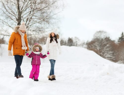 Achat et Vente de terrains à bâtir dans le Nord Isère