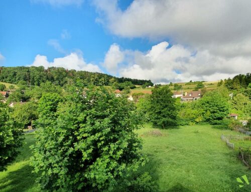 Terrains à bâtir à Nivolas – à 5 min de Bourgoin