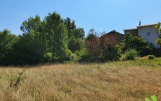terrain serezin de la tour_terrain a batir_bourgoin jallieu_clos David_viviant terrains
