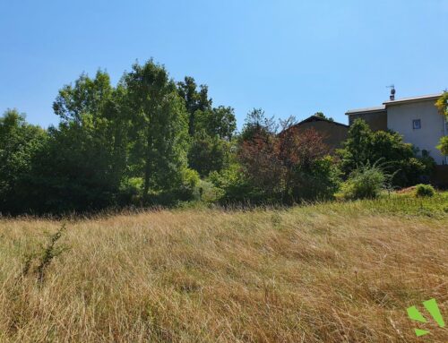 Sérézin de la Tour dans un environnement calme à 10 min de Bourgoin