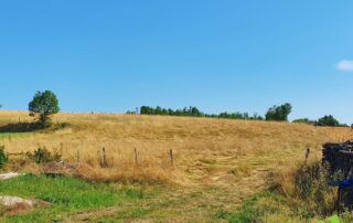 terrain Four - terrain a batir - isere 38 - viviant terrains - 4_5 - 2 b