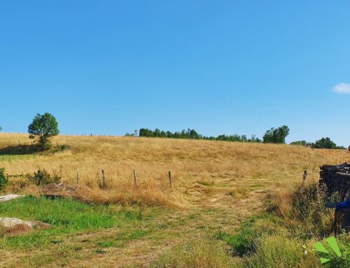 Four – Terrains à bâtir à 15 min de Bourgoin