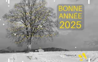 Bonne année 2025 - voeux Viviant Terrains - terrains à bâtir 38