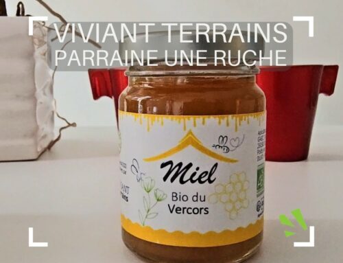 VIVIANT Terrains parraine une ruche pour la préservation des abeilles