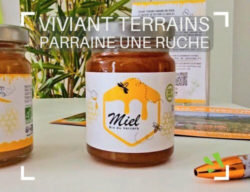 VIVIANT Terrains parraine une ruche pour la préservation des abeilles
