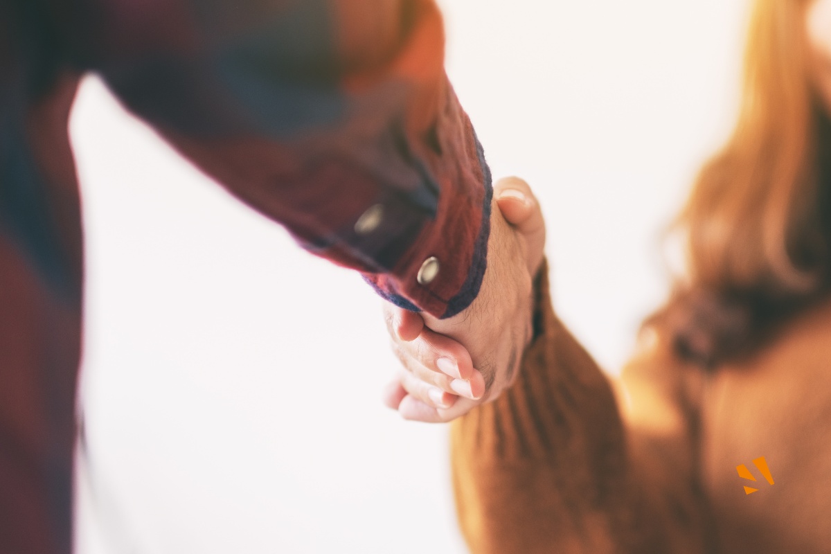 declaration préalable – propriété à diviser – vivant terrains – 2025 09