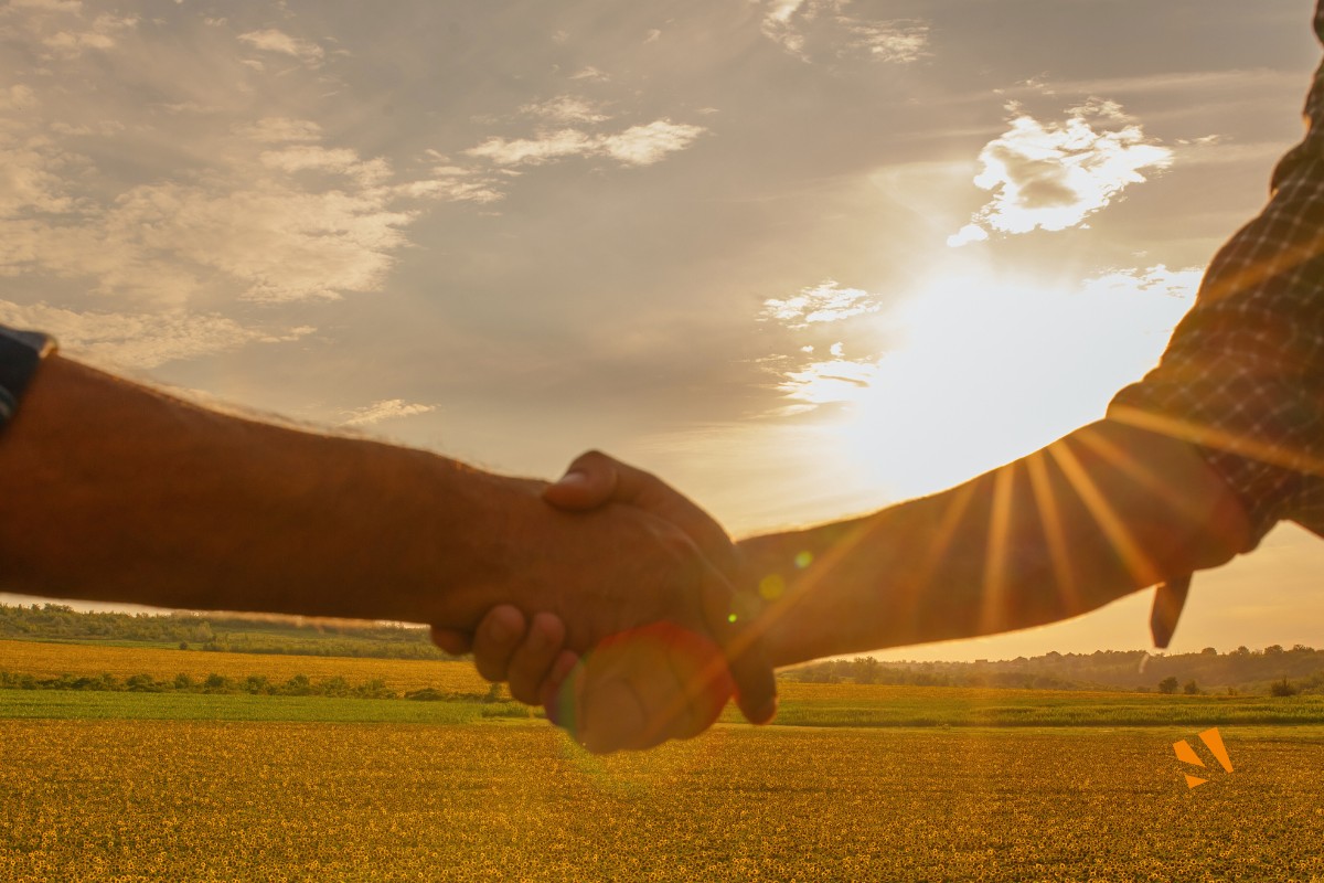 division parcellaire de terrain – terrain à lotir – propriétaire foncier – viviant terrains – 2025 division parcellaire de terrain - terrain à lotir - propriétaire foncier - viviant terrains