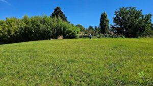 Terrain Vienne – Les Hauts d’Arélis aux Côtes-d’Arey