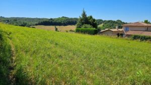 Terrain Vienne – Les Hauts d’Arélis aux Côtes-d’Arey