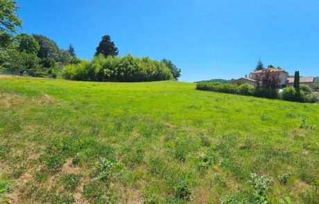 Terrain Vienne – Les Hauts d’Arélis aux Côtes-d’Arey