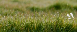 mentions-legales-viviant-terrains-aménageur-foncier-isère-bourgoin